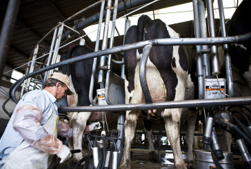 El Gobierno oficializó los beneficios a productores lecheros