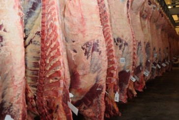 Argentina logró que Canadá vuelva a importar carne