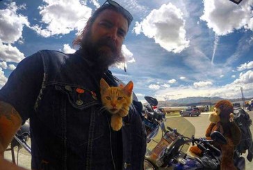 Viajaba en su moto cuando encontró un gatito y decidió adoptarlo