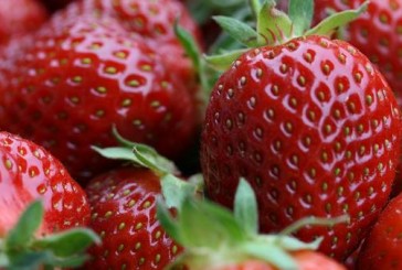 Siete poderosos frutos rojos que no deben faltar en la mesa