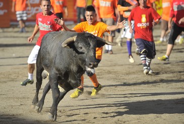 #EsViral Torero improvisado termina desnudo por provocar a un toro