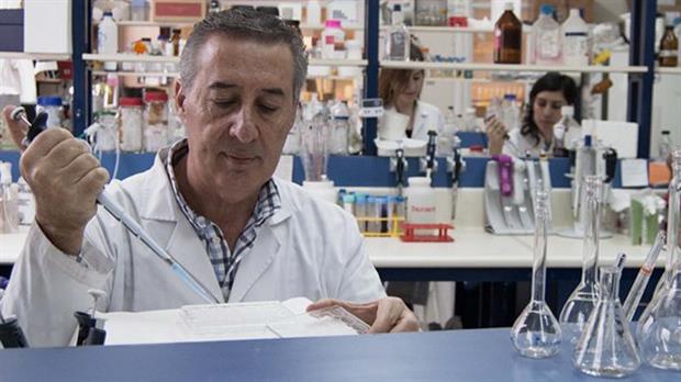 Científicos cordobeses detectan una proteína que frena el gen del cáncer