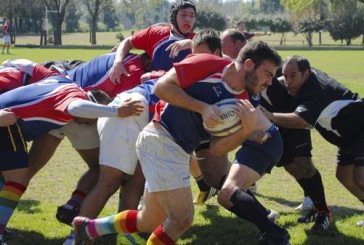 Ciervos Pampas, el equipo que lucha por visibilizar la diversidad sexual en el rugby