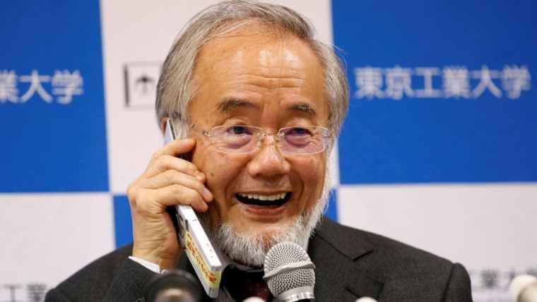 Nobel de Medicina para japonés experto en renovación celular