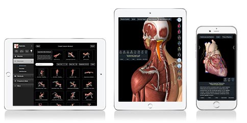 La App de medicina premiada por Apple