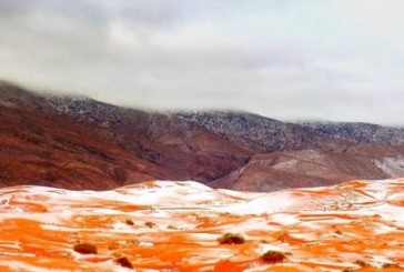 Para asombro de todos, el desierto de Sahara se cubrió de nieve