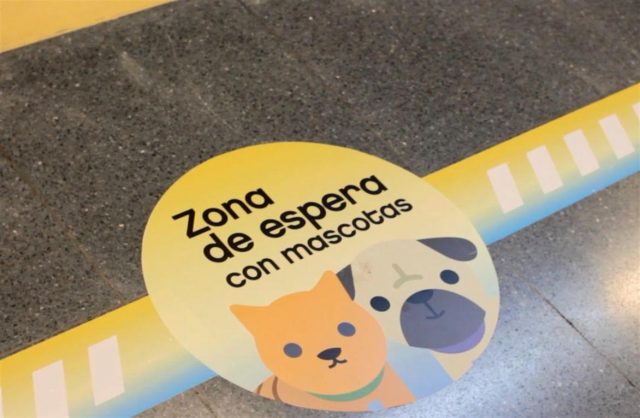 Usuarios del subte podrán viajar con sus mascotas