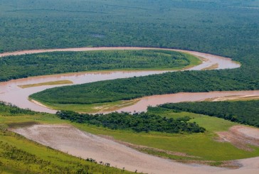 Se inauguró el Parque Nacional El Impenetrable: un viaje para conocerlo por dentro