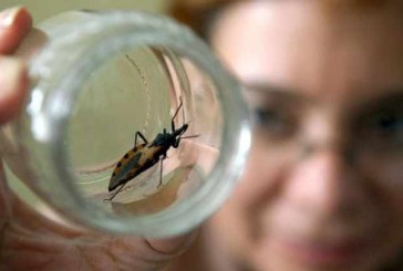 Un medicamento argentino que aprobó hoy la FDA cambia el paradigma contra el Mal de Chagas en niños