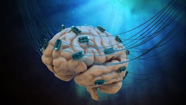 Conectan por primera vez a un cerebro con internet