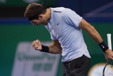 Masters de Shanghai: del Potro venció a Troicki y jugará las semifinales ante Federer