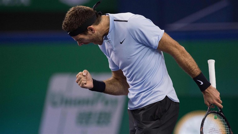 Masters de Shanghai: del Potro venció a Troicki y jugará las semifinales ante Federer