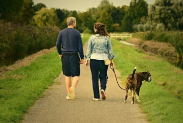 Aseguran que tener un perro ayuda a la salud cardiovascular