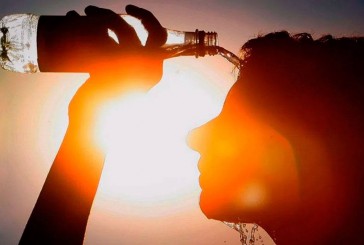 Cómo afrontar las altas temperaturas