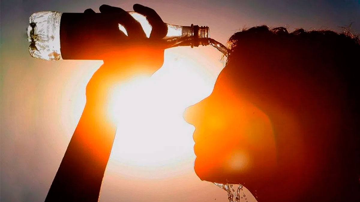 Cómo afrontar las altas temperaturas