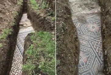 Arqueólogos italianos descubrieron en Verona un mosaico de la antigua Roma en perfecto estado