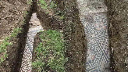 Arqueólogos italianos descubrieron en Verona un mosaico de la antigua Roma en perfecto estado