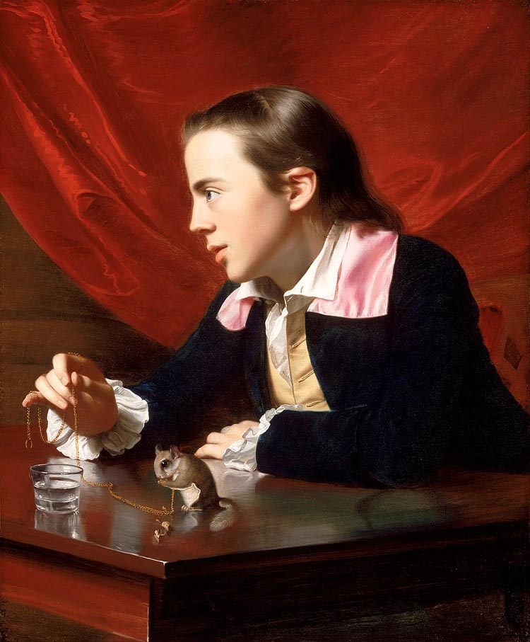 La belleza del día: “Niño con ardilla voladora” de John Singleton Copley