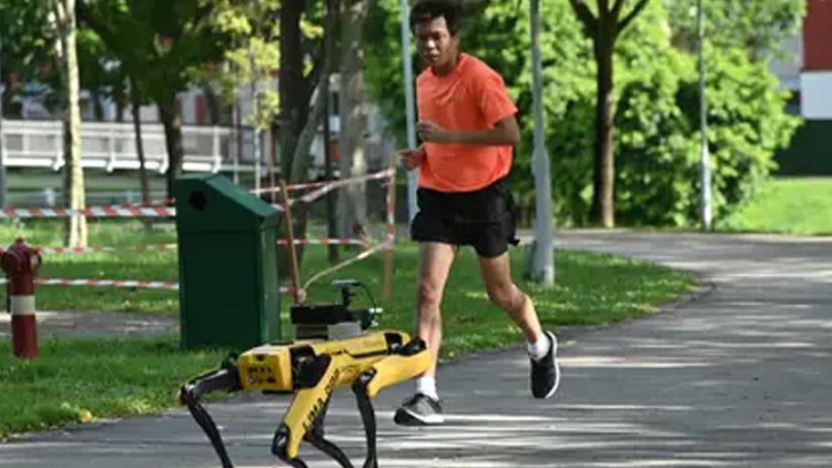 Singapur utiliza sofisticados robots para monitorear el distanciamiento social frente al coronavirus