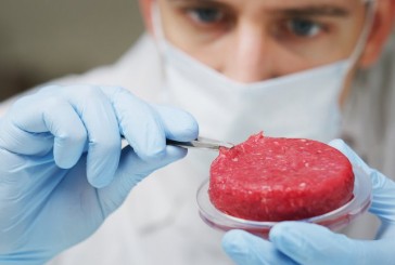 ¿Y si pudiéramos tener carne sin matar para comer?