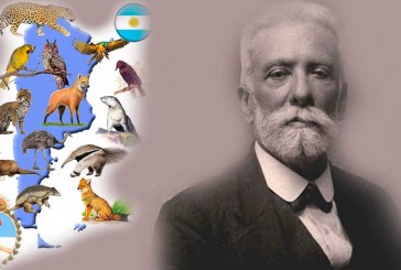 Por qué se celebra hoy el Día del Animal en Argentina