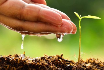 Cuidar el planeta para evitar otra pandemia