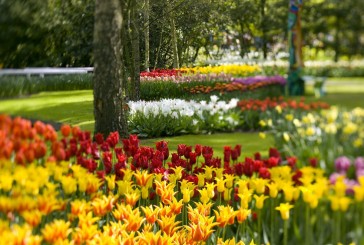 Por qué para la ciencia la primavera trae felicidad