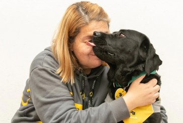 Los perros entrenados ayudan a las personas con discapacidades a vivir con autonomía