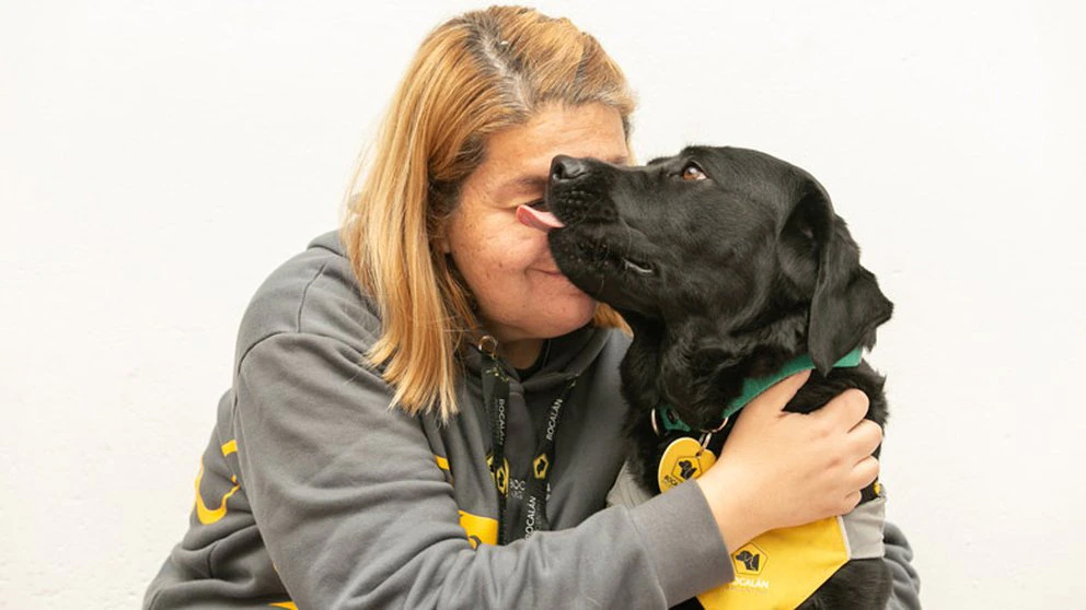 Los perros entrenados ayudan a las personas con discapacidades a vivir con autonomía