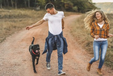 ¿Por qué los perros nos siguen a todos lados?