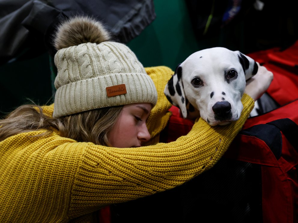 Cinco formas de ayudar a tu perro a vivir una vida más larga y saludable