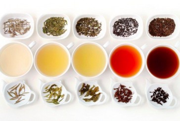 ¿Café o té?: cuáles son las mejores propiedades de cada infusión