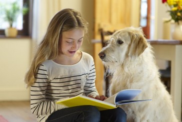 Qué es lo que los perros entienden y lo que no