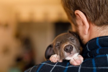 La forma en que tratamos a nuestros perros influye en su desarrollo intelectual