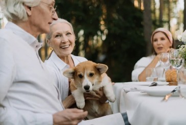 Los perros y los gatos reducen el deterioro cognitivo de las personas