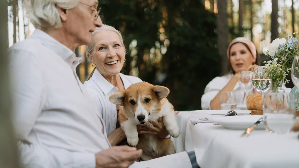 Los perros y los gatos reducen el deterioro cognitivo de las personas