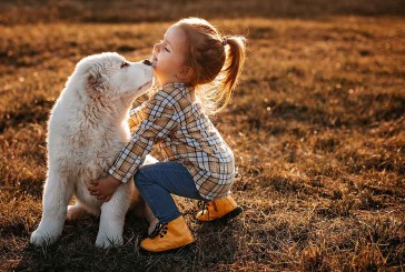 Por qué los perros generan un efecto positivo en el desarrollo de los niños