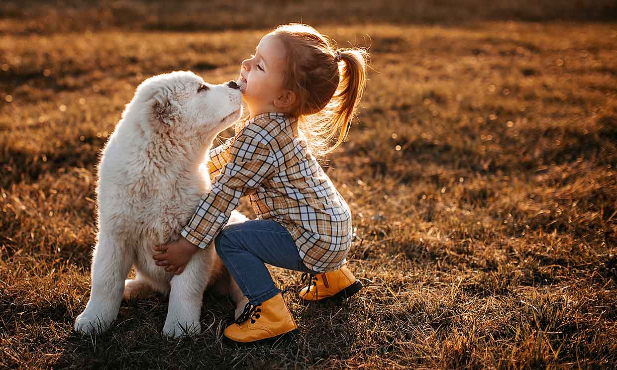 Por qué los perros generan un efecto positivo en el desarrollo de los niños