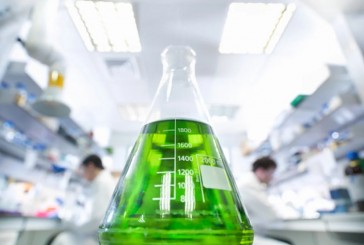 Química verde: desarrollan desde ecocueros a partir de hongos hasta ácido hialurónico sin productos contaminantes