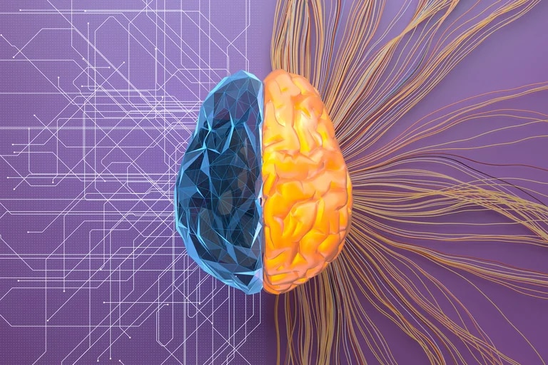 ¿Cerebro joven toda la vida?: cómo es la innovadora técnica argentina que puede evitar el deterioro cognitivo