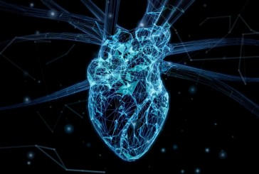 Corazones sanos: cómo es la iniciativa de la Sociedad Interamericana de Cardiología que busca generar conciencia