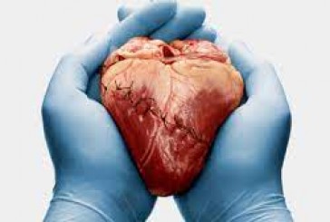 Corazón siglo XXI y polipíldoras: un quiebre en el tratamiento y prevención de las enfermedades cardiovasculares y ACV