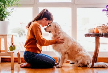 Relación entre perros y humanos: la unión hace la fuerza