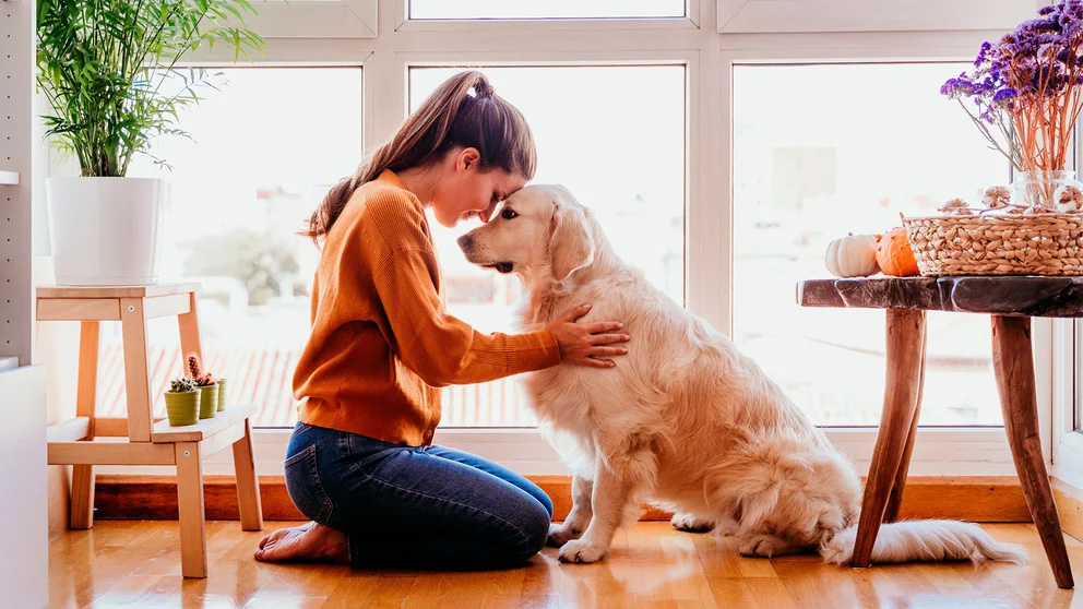 Relación entre perros y humanos: la unión hace la fuerza