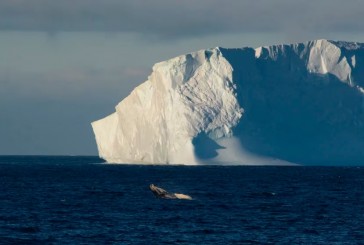 De qué forma se pueden ralentizar los efectos del cambio climático en la Antártida