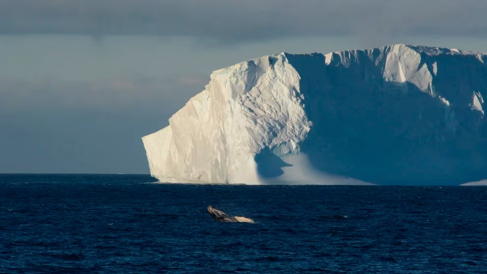 De qué forma se pueden ralentizar los efectos del cambio climático en la Antártida