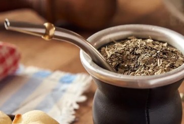 Mitos y verdades sobre los beneficios del mate para la salud