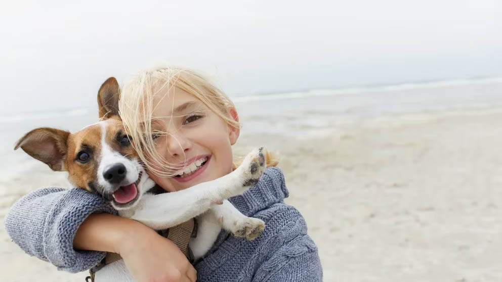 Cómo sé si mi perro está feliz: las 10 claves que muestran su bienestar