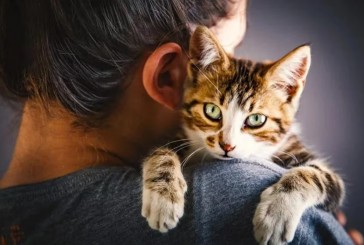 La ciencia respondió por qué los gatos prefieren a las mujeres