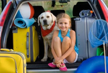 Viajes pet friendly: ¿qué hacer con tu perro y cómo cuidarlo?